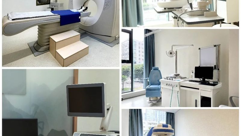 理疗保健项目分类大全：揭秘现代理疗的多样选择